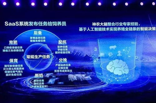 當互聯(lián)網(wǎng)巨頭“跨界”養(yǎng)豬 科技賦能下的產(chǎn)業(yè)變革與深層邏輯